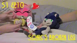 Team Rose Plush Adventures | S1 Ep10 | Sonic's Broken Leg | TRPA