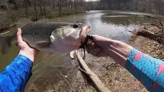 Flipping Laydowns For Big Northern Largemouth Bass (Giant Catch!)