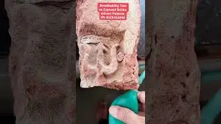 Exposed Bricks breathability test #buildingprotection #construction #hydrophobiccoating #home#house