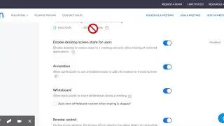 Zoom settings for safety and functionality
