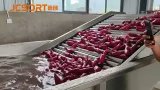 Sweet potato washing drying sorting line, sweet potato grading line, sweet potatoes packing line