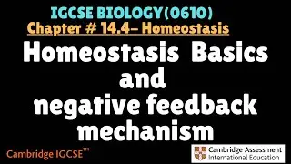 IGCSE Biology| Chapter #14.3 Homeostasis(Meaning+negative feedback mechanism)