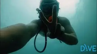 Dive Portable Lungs - Cabo San Lucas Whale Sharks &  Much More