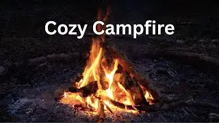 Cozy Campfire - ASMR - Backyard Evening into Night - No AI