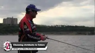 How to Choose Jerkbaits and Colors