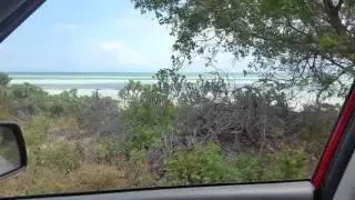 Amazing Bahia Honda Sandspur Beach