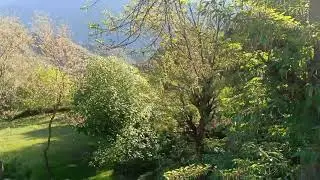 Natural Beauty of Kashmir
