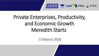 Session 6 - STEG-PEDL Virtual Course - Private Enterprises, Productivity, and Economic Growth