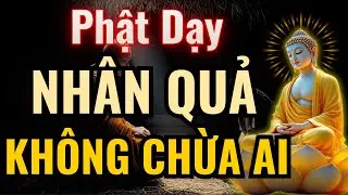 Phật Dạy Về Nhân Quả: Kẻ Tham Lam Hãm Hại Anh Em Sẽ Gặt Quả Báo Này