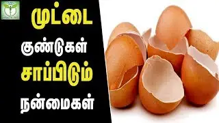 Benefits of eating egg shells - Tamil Health Tips