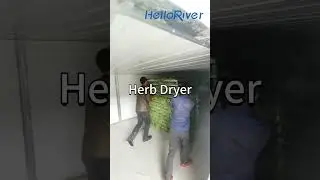 Heat Pump moringa leaf drying machine air dryer machine herb dehydrator hemp leaf flower dryer room