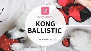 Kong Ballistic Hide 'N Treat | Dyrekassen.no