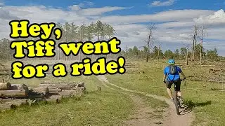 The Pineries Open Space - Black Forest Colorado