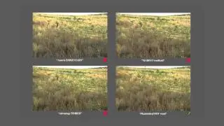 PHANTOMLEAF Flecktarn Woodland D4 vs Advantage TIMBER MARPAT woodland Austria ERBSENTARN