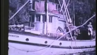 Commercial Net Fishing