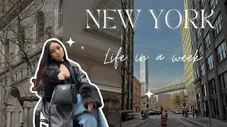 Life a week in New York as a content creator