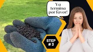 🤯 Guía Completa: Cómo Restaurar, Revitalizar y Fortalecer tu Césped (Fase 3/4)