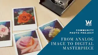 Community Photo Project: From Analog Image to Digital Masterpiece
