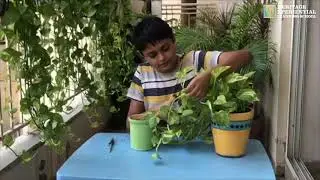 Home Gardening by Vihaan Mathur
