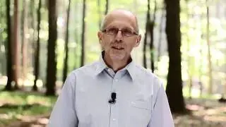 Ratujmy Puszczę Białowieską