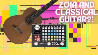 This pedal can do ANYTHING // Empress Effects ZOIA