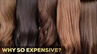 Why Is Human Hair So Expensive? | 5 Reasons | So Expensive.