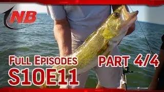 (Part 4/4) Locating Lake Superior Walleyes