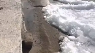 Ice Shove - Appletree Point, Burlington, VT