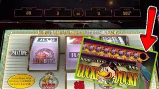 🔹Lucky Ducky🔹MAX BETS! Last Diamond 💎