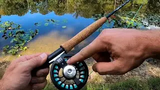 My First Fly Rod / TFO Black Label NXT 5Wt