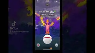 First day, First Raid Shiny! #moltres #pokemon #pokemongo #niantic #shiny #fyp #shorts #shortfeed