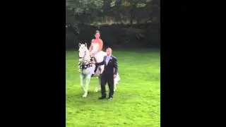 White horse wedding at butterley grange mansion / equestrian bride
