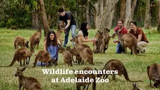 Things to do in Adelaide with Exotic Lifestyles