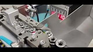 Nut Presenter | Step Feeder | Automatic Feeding Technology | Automobile Parts Assembly