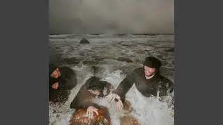 Manfish