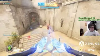 Overwatch Chipsa играет за Echo. Весь мой набор героев совершенно бесполезен.
