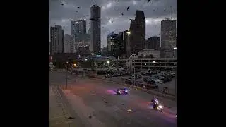 Chevron Houston Marathon. Birds almost hit my drone!