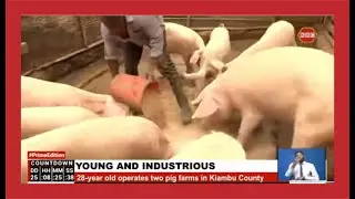 Young and Industrious | 28-year old operates two pig farms in Kiambu County