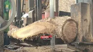 Masih dengan cara Gandengan Teak Wood Sawmill #india #brasil #america