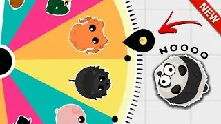 NEW WHEEL DECIDE CHALLENGE IN MOPE.IO PART 2 | 0 XP to 5 MIL XP ANIMAL WHEEL DECIDES