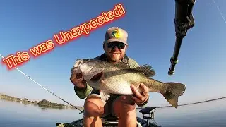 I made Top 3! l Slay Nation Bass Fishing Tournament l Lake Alfred l Central Fl