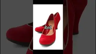 Taylor swift alums as shoes