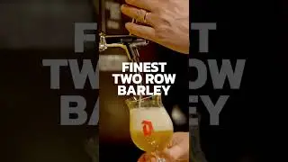 Что такое бельгийский светлый солод? // Get Er Brewed