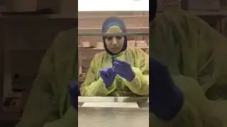 Vaginal smears for mice