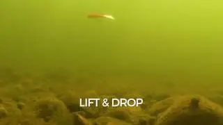 Swimming Action: Rapala Snap Rap