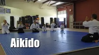 aiki promo - erik calderon's martial arts