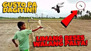 PERSTAYM NAMIN NAG FREE FLIGHT, JUSKO! DADAGITIN PA NETOY NA KALAPATI NI BUGOY 😠