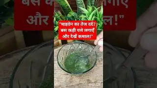 Dr. Upasana: कड़ी पत्ते से माइग्रेन का चमत्कारी इलाज! #shorts