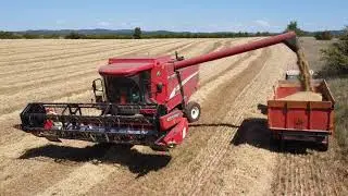 LAVERDA M304ls Moisson 2022