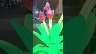 festival city ajman#shortvideos # viral#playtime